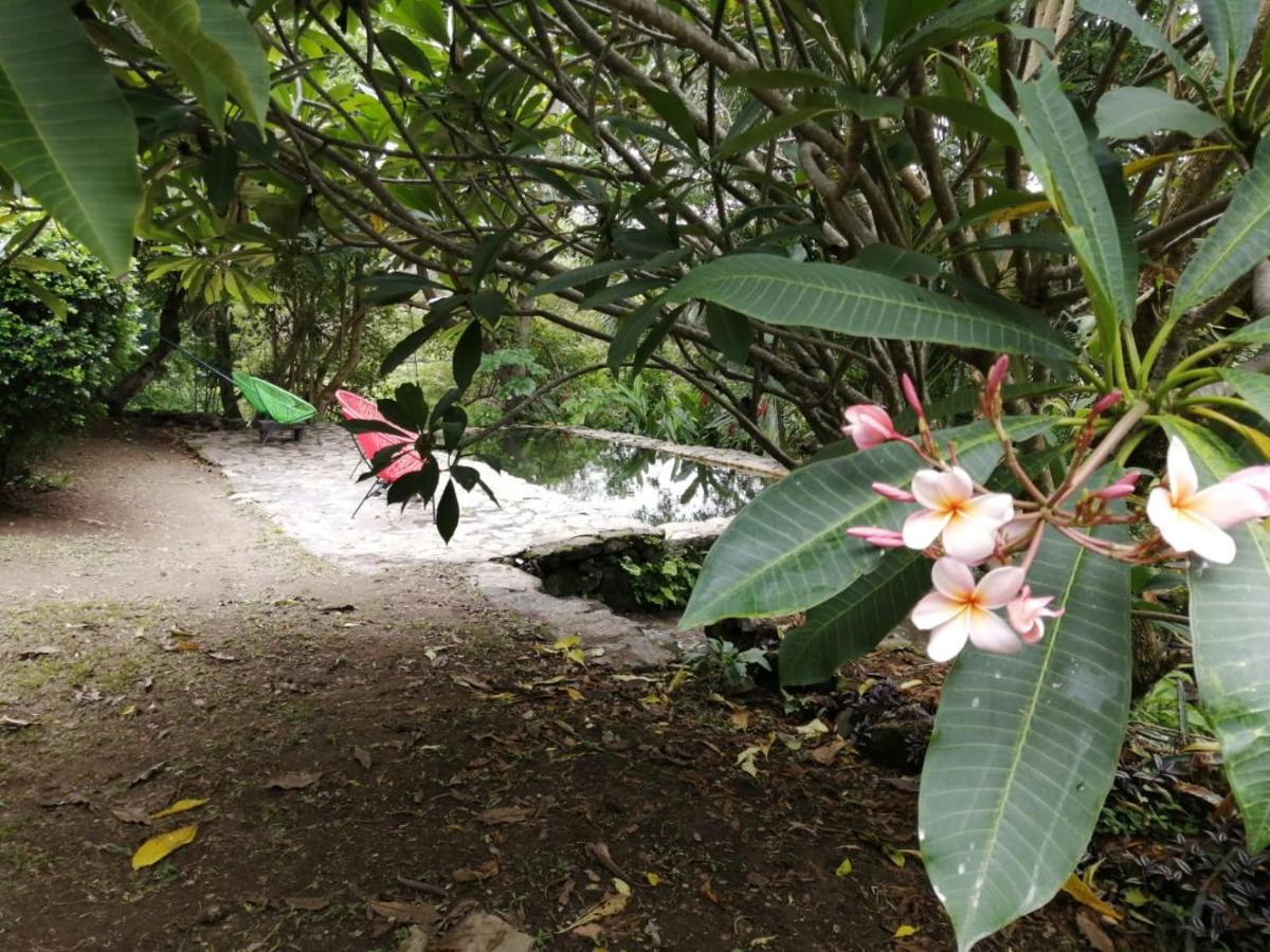 Casa Rural Aroma De Campo Curubande Kültér fotó